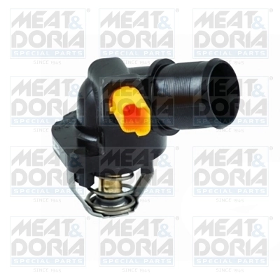 Thermostat, coolant
